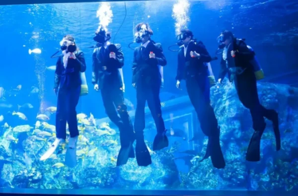 في اليابان.. موظفون يرتدون الزي الرسمي ويغوصون بين الشعاب المرجانية لتسلم التعيين